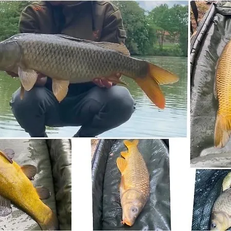 بيت للعطل Etang De Peche Des Ladres Cambron